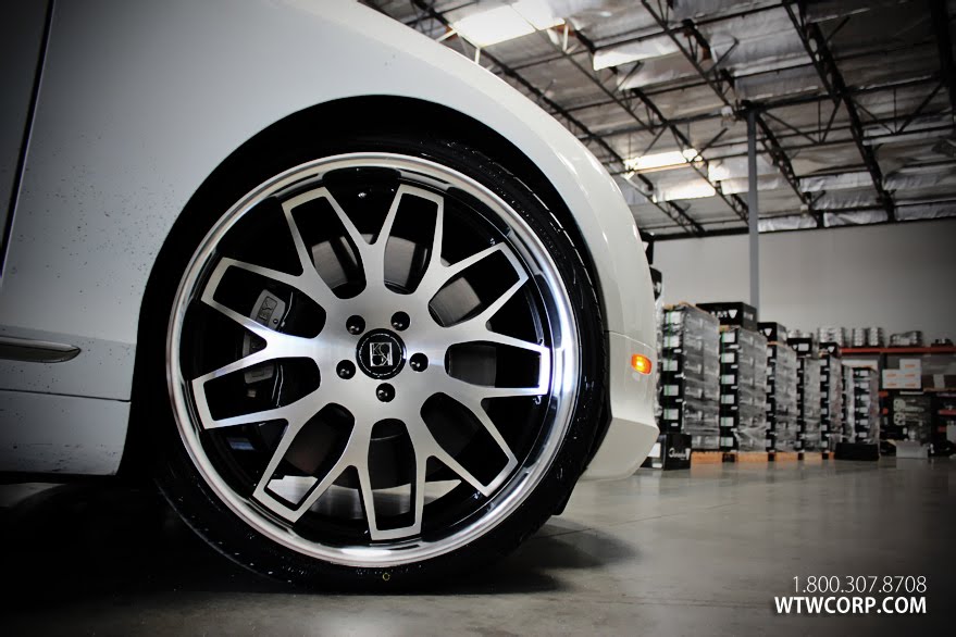 Koko Kuture Fann on White Bentley Continental GT
